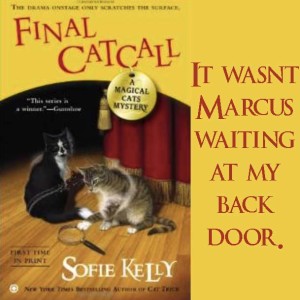 Excerpt from Final Catcall