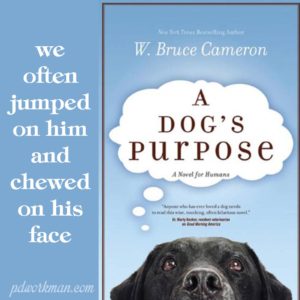 Excerpt from A Dog's Purpose and a Free Gift