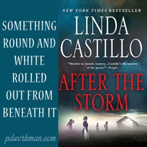 Excerpt from After the Storm