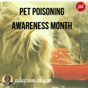 Pet Poisoning Awareness
