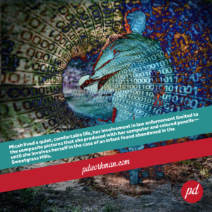 Announcing the High-Tech Crime Solvers series