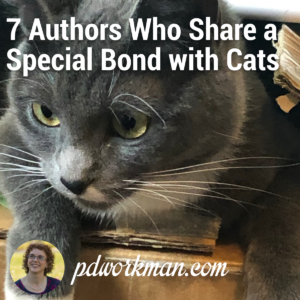 Cat Lady Confidential