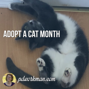 Adopt a Cat Month