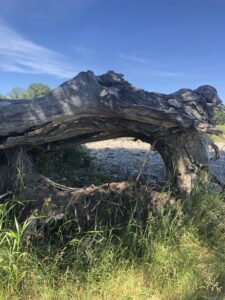 Fish Creek Provincial Park