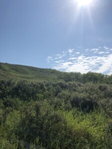 Glenbow Ranch Provincial Park