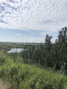 Sweeping vistas of Glenbow Ranch Provincial Park, the setting of Long Climb to the Top, a Parks Pat Police Procedural Mystery. Washboard clouds, a pond in the distance, and a stand of green trees nearby.