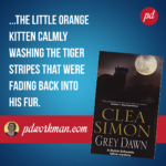 Back to Paranormal - Grey Dawn