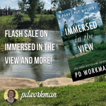 Flash sale on Immersed in the View and more!