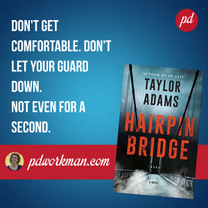 Suspended at Hairpin Bridge