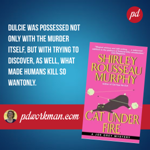 Follow this Cat Under Fire