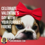 Celebrate Valentine's Day With Your Furriest Friend