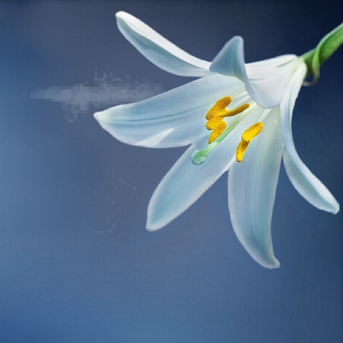 Springing into Easter Reads