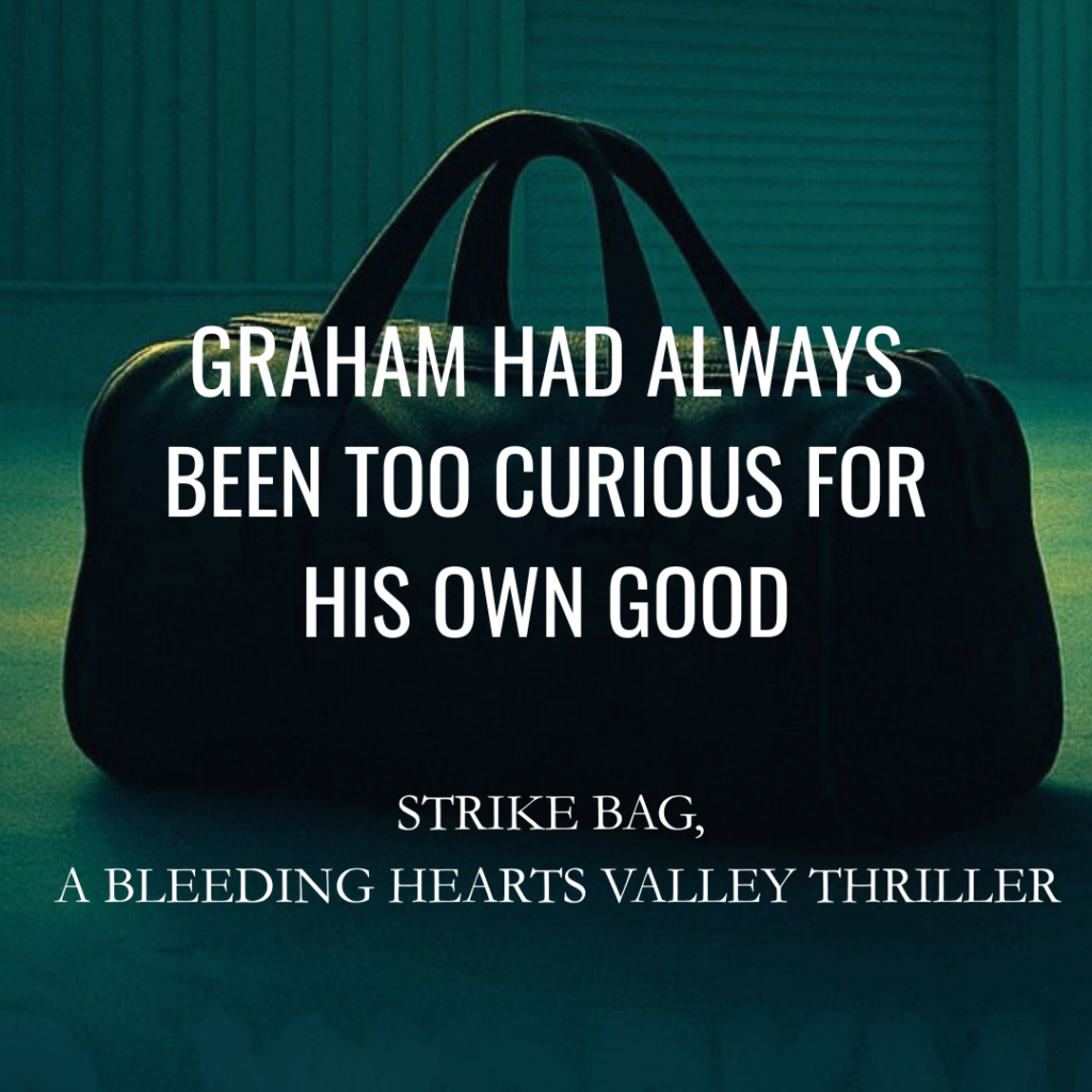 Book cover for a thriller: dark handbag with teal tint; title reads 'GRAHAM HAD ALWAYS BEEN TOO CURIOUS FOR HIS OWN GOOD' and subtitle 'STRIKE BAG, A BLEEDING HEARTS VALLEY THRILLER'