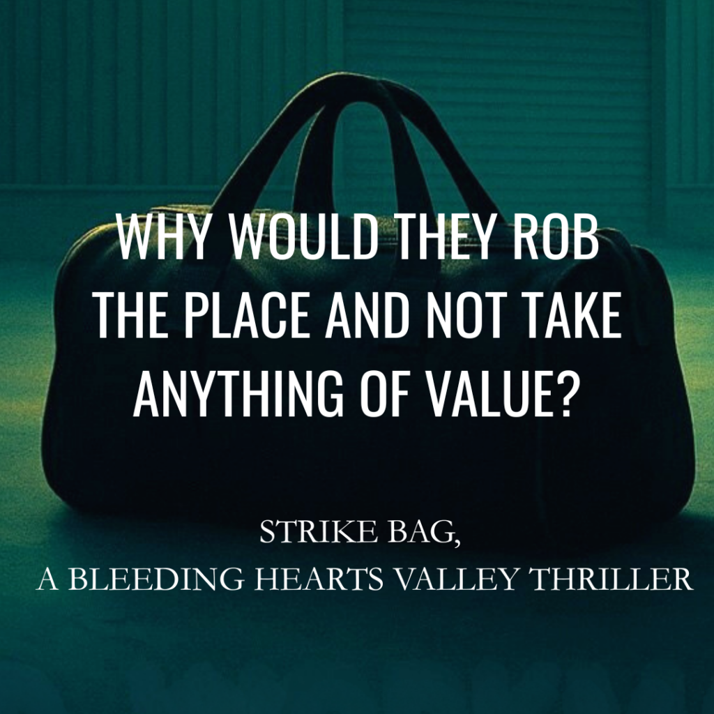 Dark teal handbag on a moody background with white promotional text for a thriller: 'Why would they rob the place and not take anything of value?' and 'Strike Bag, A Bleeding Hearts Valley Thriller'