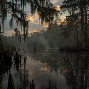 everglades at twilight something menacing in the water