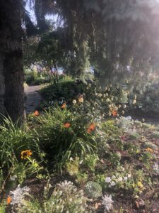 Gardens and pathways at Prairie Winds Park.