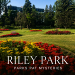 Flowers in Riley Park in Calgary, setting for Peril in the Blooms.
