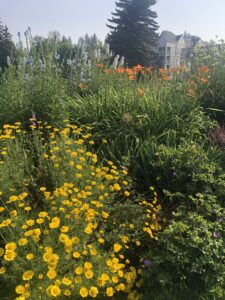 Flower gardens in Riley Park in Calgary.