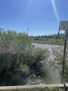 griffith woods elbow river