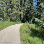Why Calgary Parks Make Such Good Police Procedural Settings