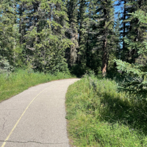 Why Calgary Parks Make Such Good Police Procedural Settings