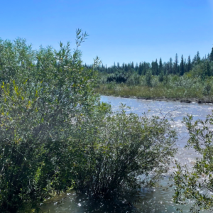 griffith woods by elbow river